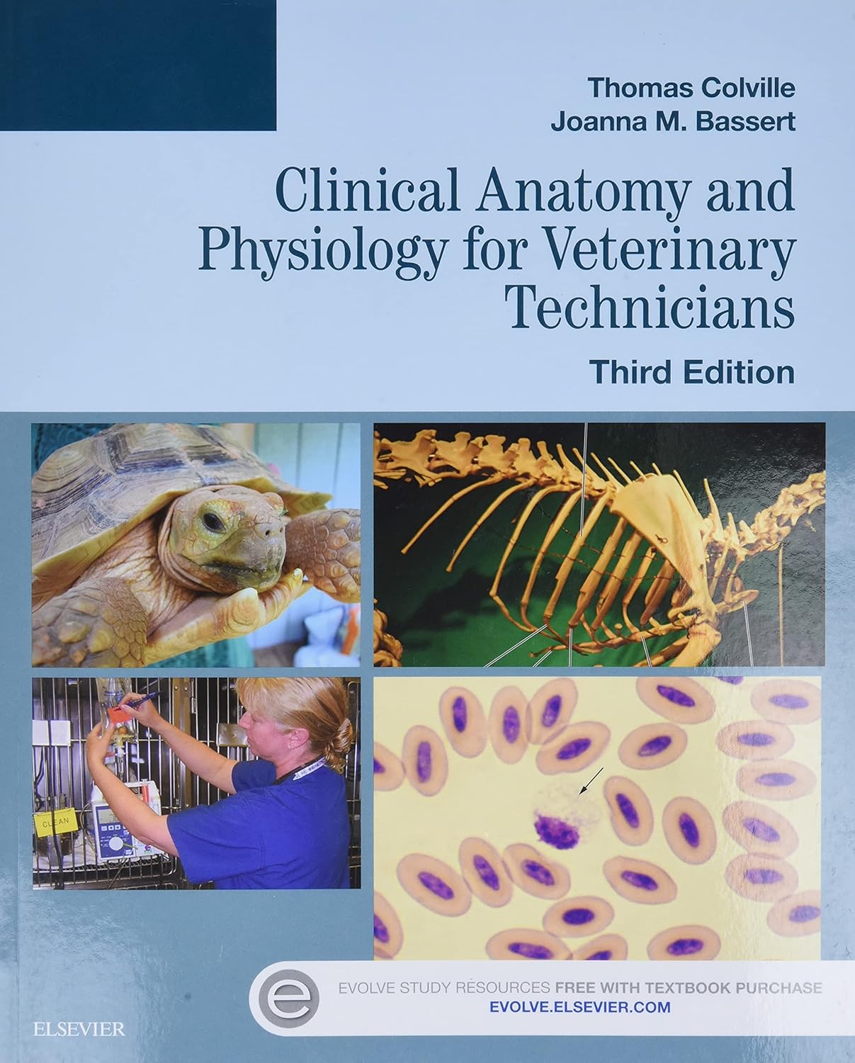 clinical-anatomy-and-physiology-for-veterinary-technicians