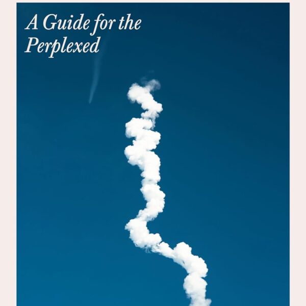 Muskism: A Guide for the Perplexed