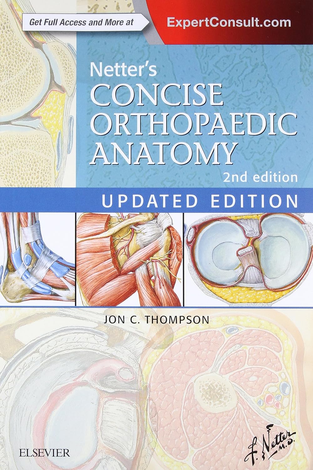 netter-s-concise-orthopaedic-anatomy-updated-edition-netter-basic-science