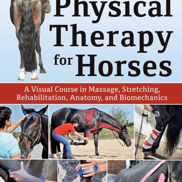 Physical Therapy for Horses