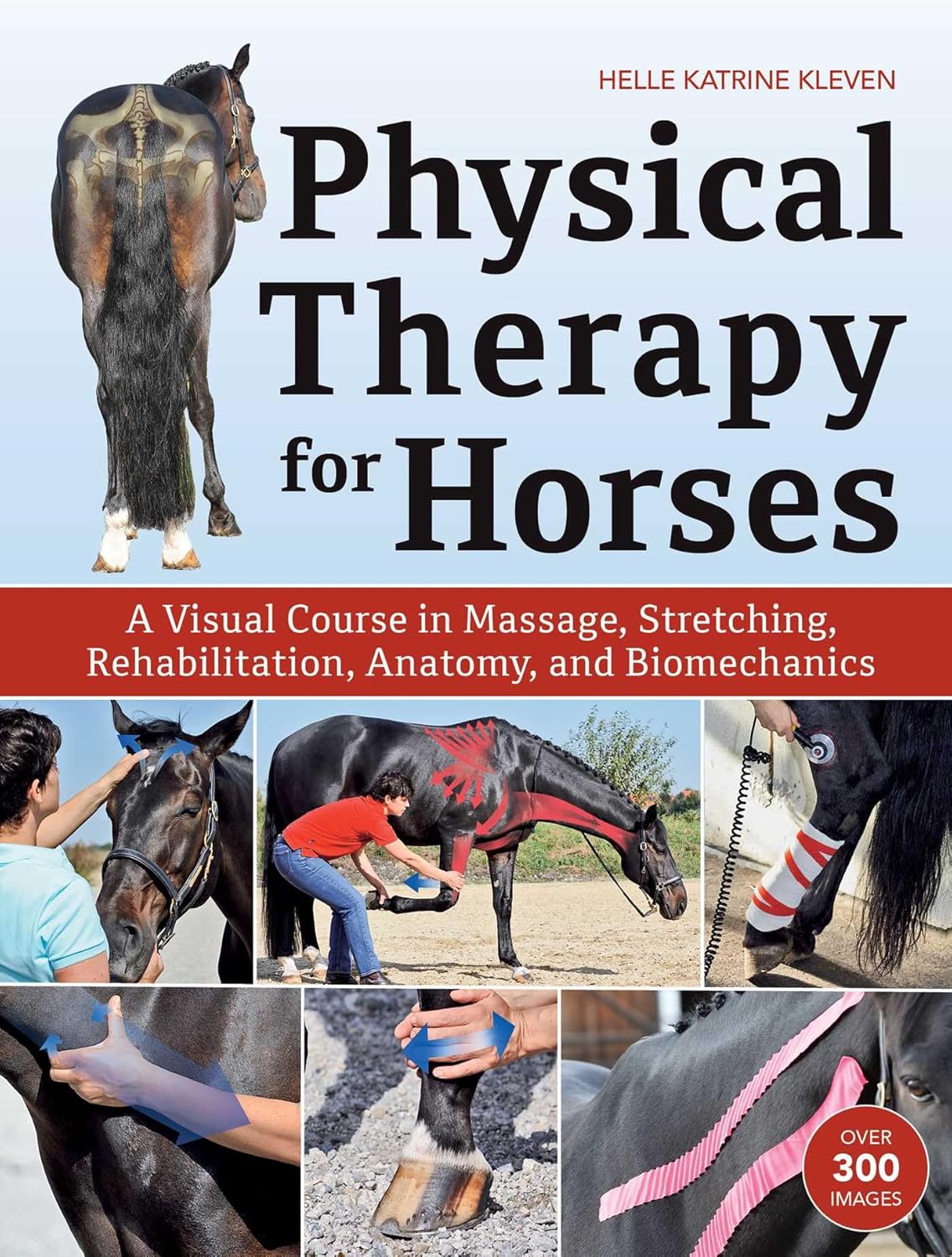 physical-therapy-for-horses