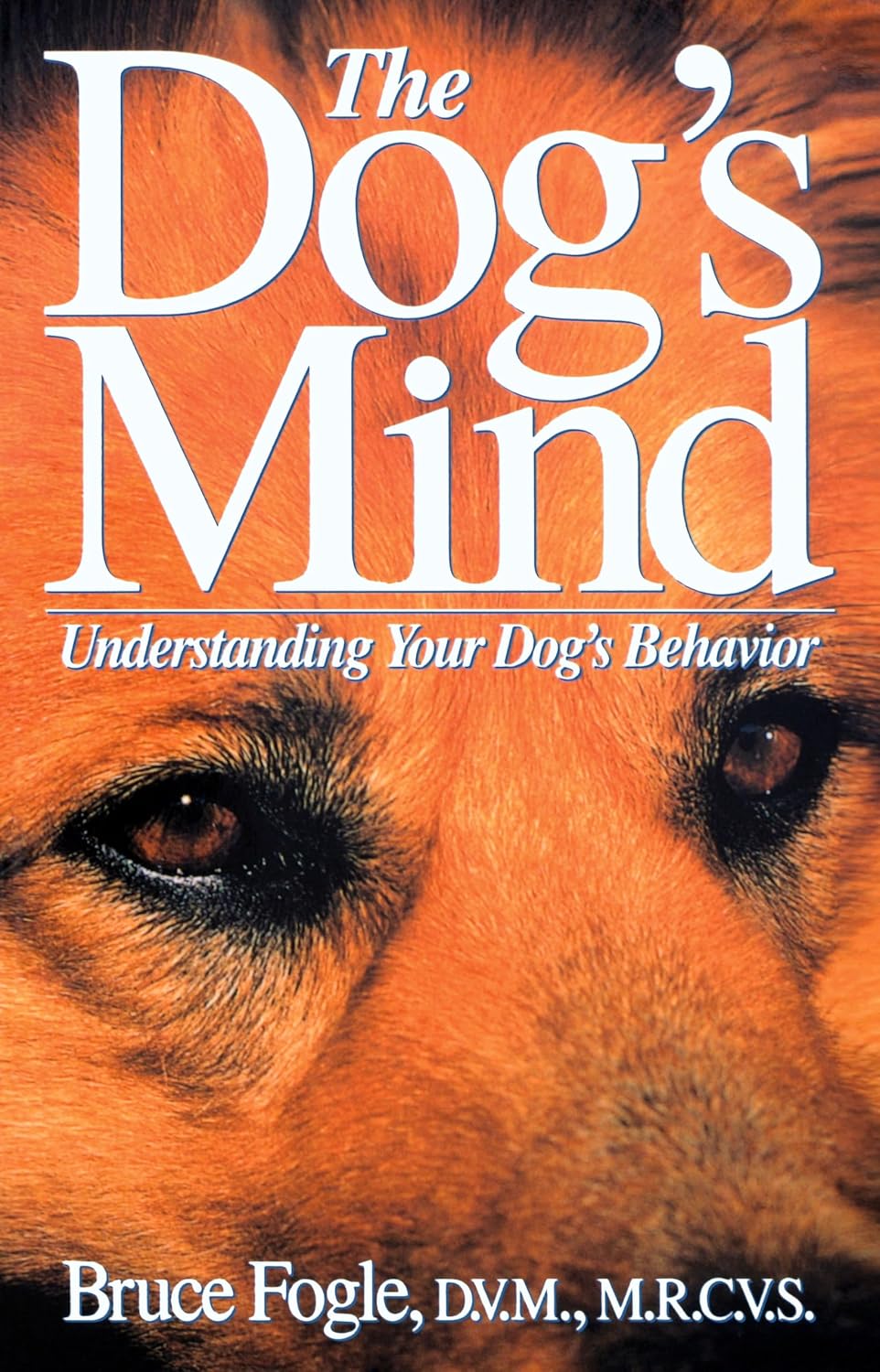 the-dogs-mind-understanding-your-dogs-behavior